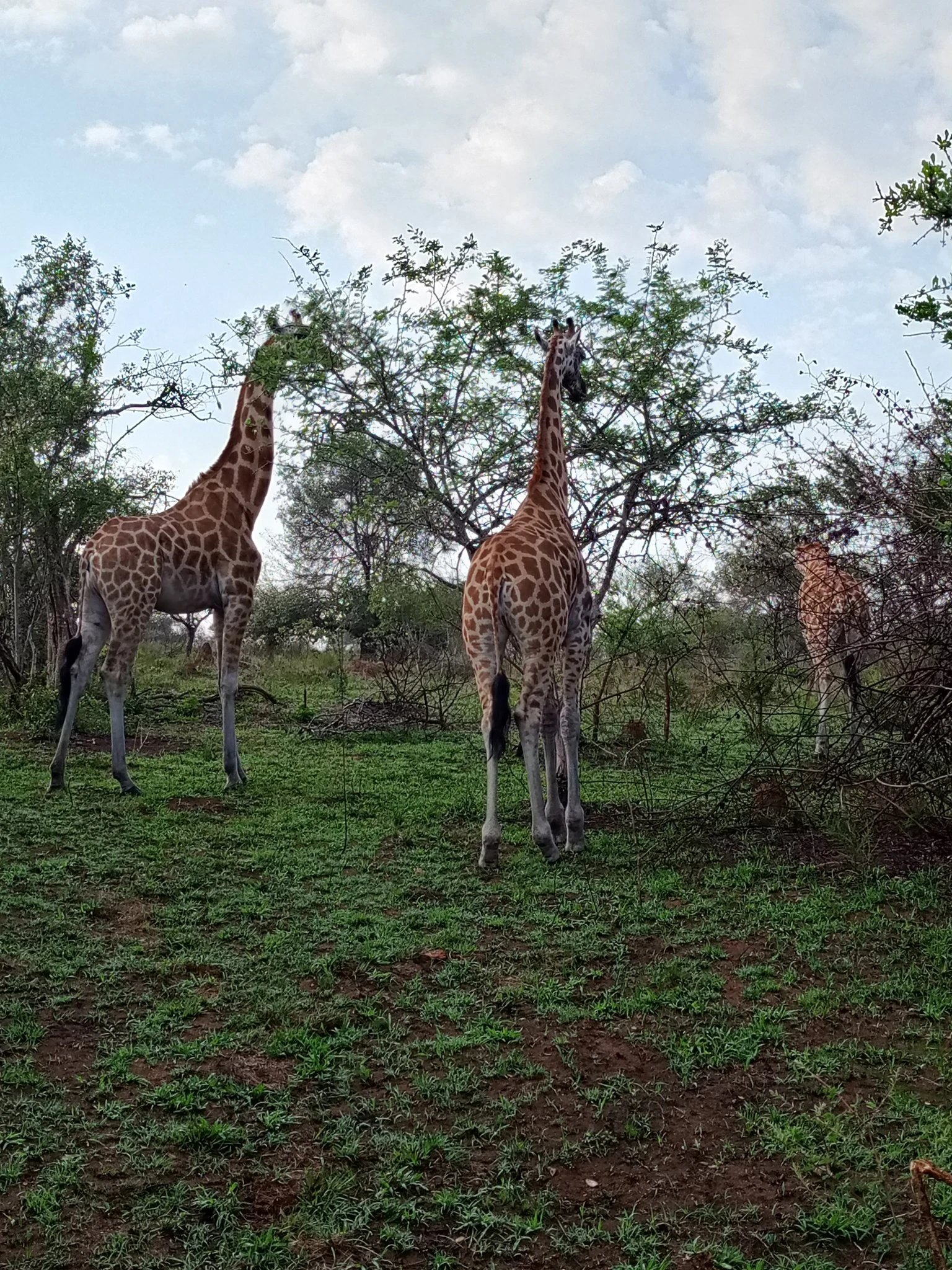 3 DAYS HOLIDAY IN THE WHISPERS OF THE WILD ''LAKE MBURO NATIONAL PARK''